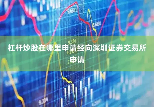 杠杆炒股在哪里申请经向深圳证券交易所申请