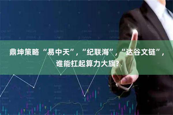 鼎坤策略 “易中天”, “纪联海”, “达谷文链”, 谁能扛起算力大旗?